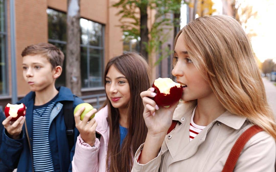 Snacks: Frisches Obst in der Schulpause: Das wünschen sich Eltern. Mit ein paar Tricks kann man dem Nachwuchs Gesundes schmackhafter machen. Foto: djd/snack-5.eu/Shutterstock/M_Agency