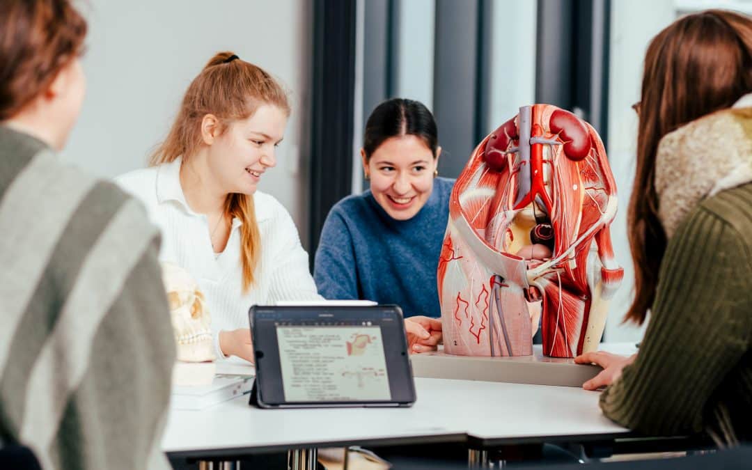 Zusammenarbeit von Hebammenwissenschaft und Humanmedizin: Selbst sind die Studierenden: Beim interprofessionellen Training standen das gemeinsame Arbeiten und gegenseitige Vermitteln im Vordergrund (Foto: WWU/Marcus Heine)