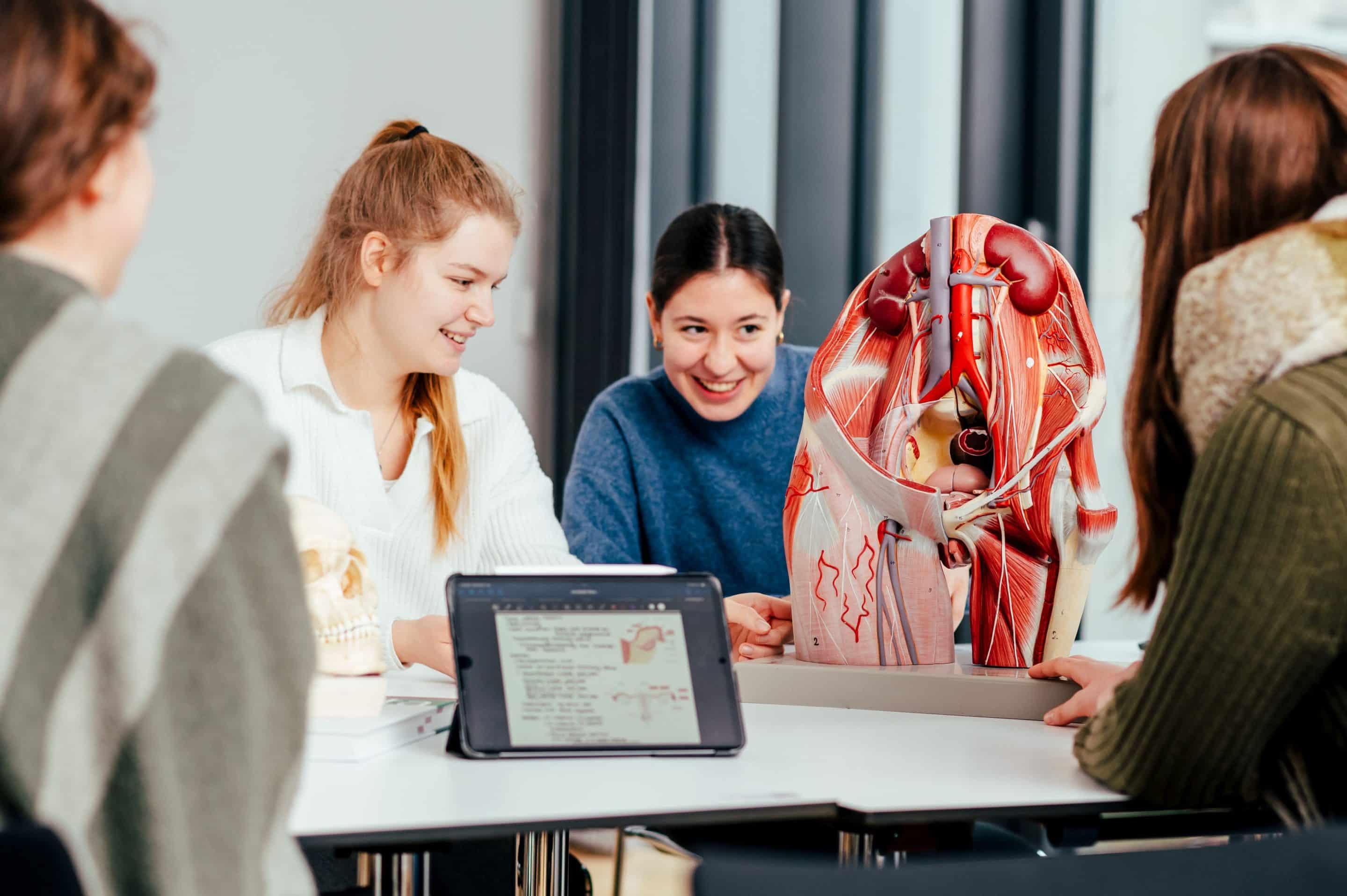 Zusammenarbeit von Hebammenwissenschaft und Humanmedizin: Selbst sind die Studierenden: Beim interprofessionellen Training standen das gemeinsame Arbeiten und gegenseitige Vermitteln im Vordergrund (Foto: WWU/Marcus Heine)