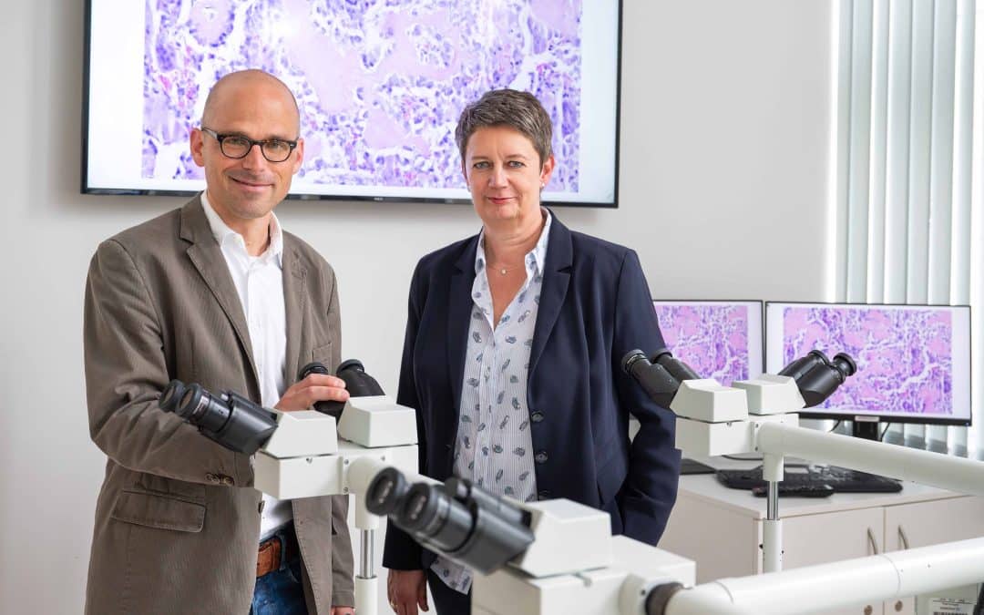 UKM-Pathologie: Mit neuer Doppelspitze in die Zukunft: Univ.-Prof. Eva Wardelmann und Univ.-Prof. Wolfgang Hartmann leiten gemeinsam das Gerhard-Domagk-Institut für Pathologie am UKM. (Foto © UKM/Wibberg)