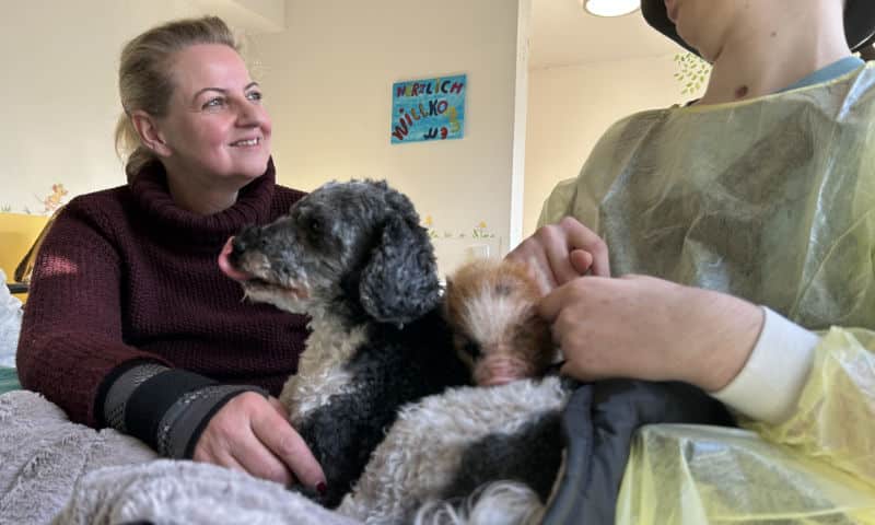 Tiertherapie: Die Therapietiere von Bianca Terhürne unterstützen die Behandlung von Kindern im Alexianer Clemenshospital Münster. Mit Pudel Lotti und Teacup-Schweinchen Peppa Wutz kuschelt ein Junge im Rollstuhl, der auf der kinderneurologischen Früh-Reha behandelt wird, am liebsten. (Foto Clemenshospital)